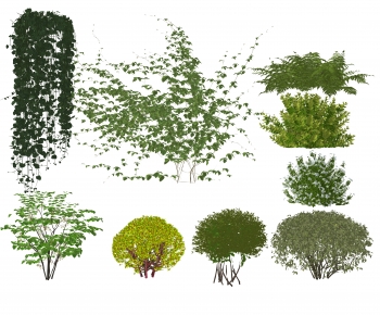 Modern Shrubbery-ID:702054021