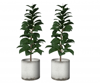 Modern Ground Green Plant Potted Plants-ID:533533102