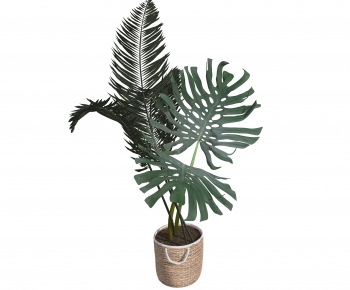 Modern Ground Green Plant Potted Plants-ID:419241916