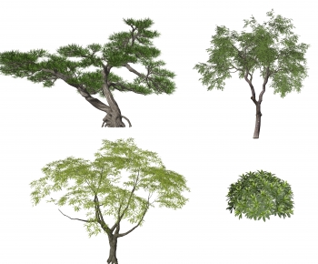 Modern Tree-ID:731571916