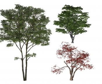 Modern Tree-ID:761343007