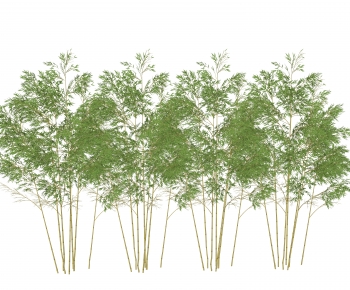 Modern Bamboo-ID:252903943