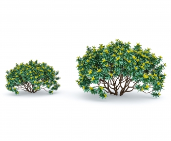 现代灌木绿植组合-ID:733763938