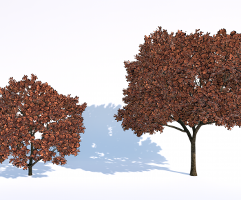 Modern Tree-ID:398405087