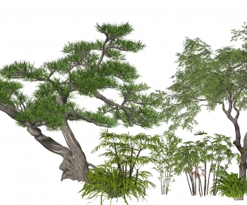 Modern Tree-ID:534434086