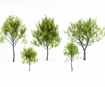 Modern Tree-ID:812235123