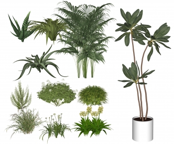 Modern Shrubbery-ID:779584889