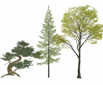 Modern Tree-ID:923623098