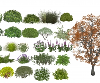 Modern Shrubbery-ID:672364003