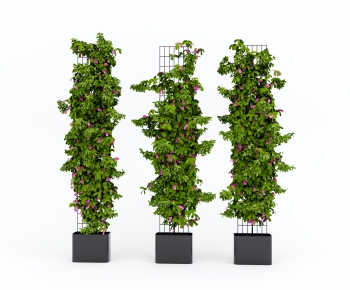 Modern Vine-ID:853656051