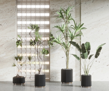 Modern Ground Green Plant Potted Plants-ID:618371961