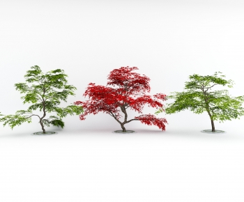 Modern Tree-ID:457566029