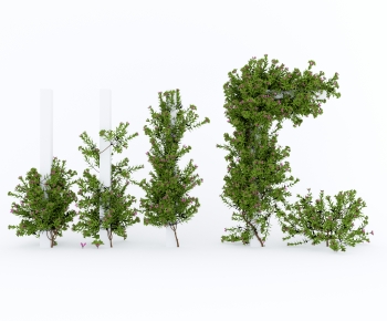 Modern Vine-ID:845048905