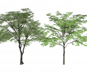 Modern Tree-ID:253201012