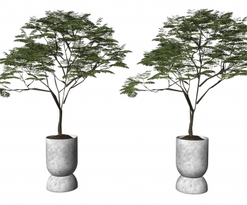 Modern Ground Green Plant Potted Plants-ID:592139011