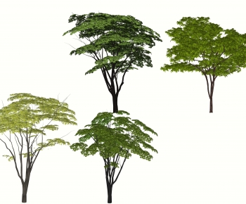 Modern Tree-ID:365328071