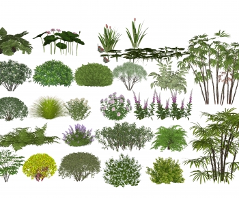 Modern Shrubbery-ID:671141137