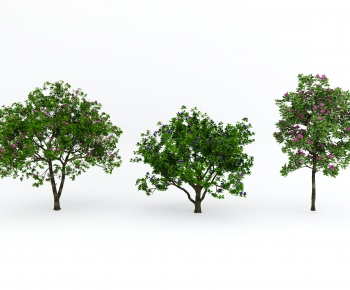 Modern Tree-ID:813000252