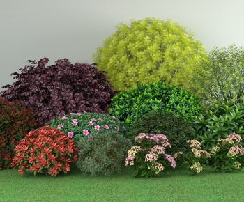 Modern Plant Pile-ID:835974938