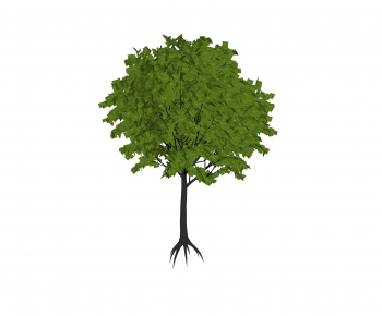 Modern Tree-ID:811077125