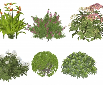 Modern Shrubbery-ID:584062108