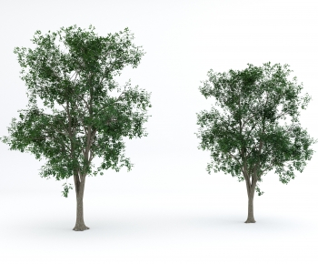 Modern Tree-ID:102786062