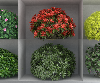 Modern Shrubbery-ID:223025085