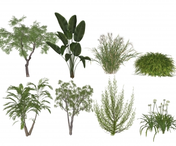 Modern Tree-ID:886153947