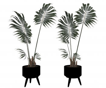 Modern Ground Green Plant Potted Plants-ID:522008907
