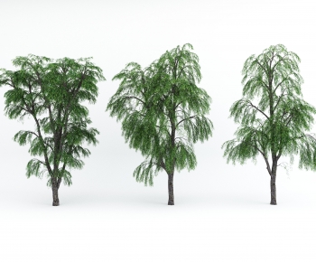 Modern Tree-ID:455121993