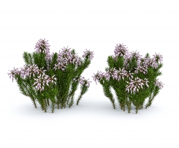 Modern Shrubbery-ID:501533995