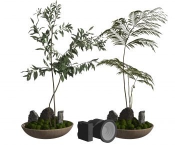 Wabi-sabi Style Bonsai-ID:699361092