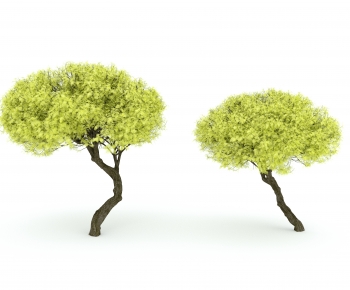 Modern Tree-ID:847593078