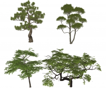 Modern Tree-ID:445640187