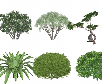 Modern Shrubbery-ID:757422929