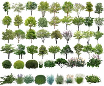 Modern Tree-ID:480951077