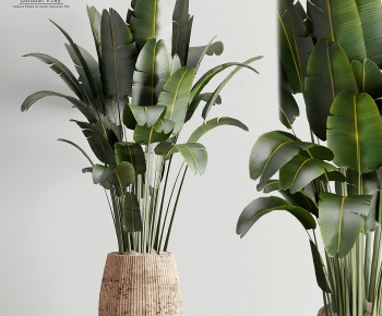 Modern Ground Green Plant Potted Plants-ID:673604017