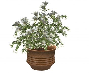 Modern Flower Arrangement-ID:258924969