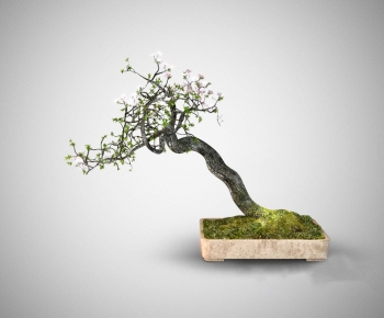 New Chinese Style Ground Green Plant Potted Plants-ID:956517932