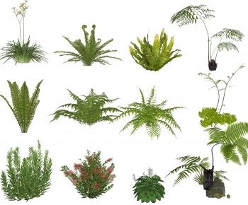 Modern Shrubbery-ID:639144902