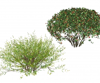 Modern Shrubbery-ID:813570081