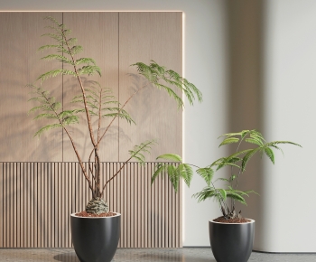 Modern Ground Green Plant Potted Plants-ID:952615985