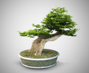 New Chinese Style Bonsai-ID:819648036