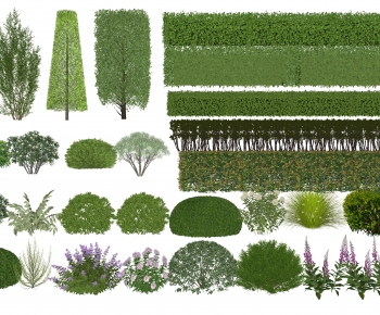 Modern Shrubbery-ID:551078084