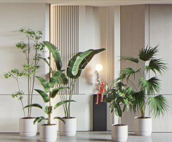 Modern Ground Green Plant Potted Plants-ID:808486948