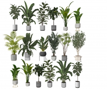 Modern Ground Green Plant Potted Plants-ID:507379063