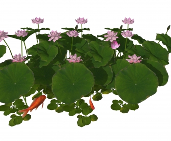 现代荷花水生植物组合-ID:486083038