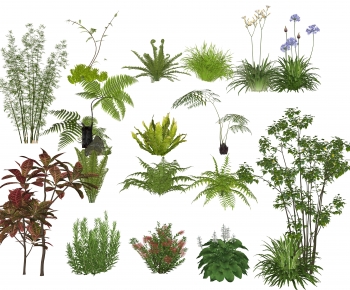 Modern Shrubbery-ID:910007954