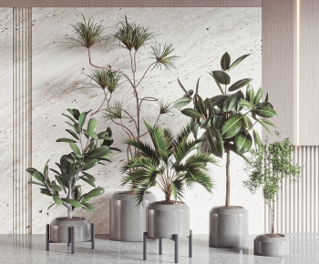 Modern Ground Green Plant Potted Plants-ID:508373029
