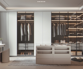 Modern Clothes Storage Area-ID:100441024